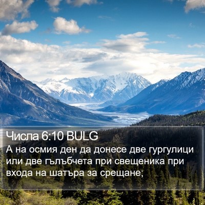 Числа 6:10 BULG Bible Verse Image