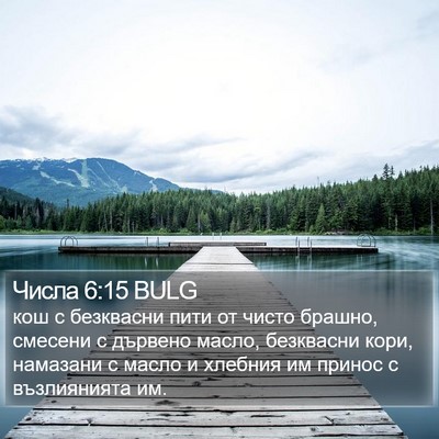 Числа 6:15 BULG Bible Verse Image