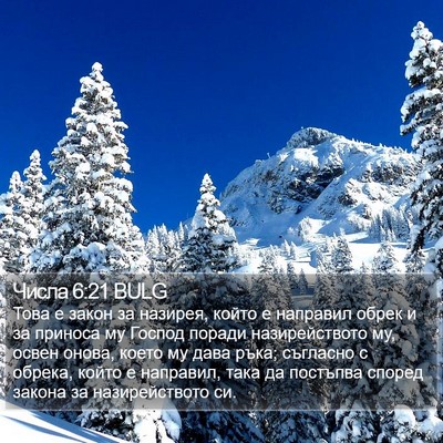 Числа 6:21 BULG Bible Verse Image