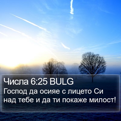 Числа 6:25 BULG Bible Verse Image