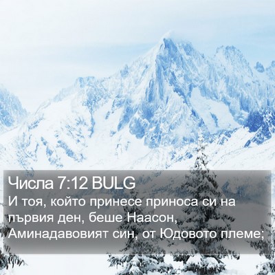 Числа 7:12 BULG Bible Verse Image