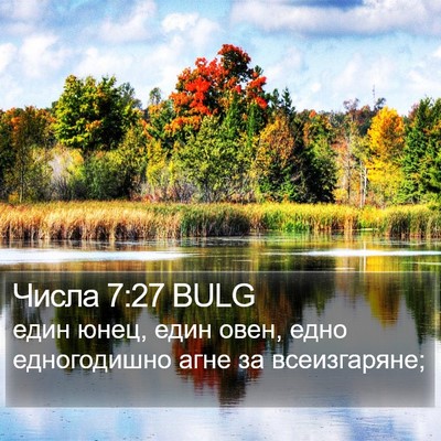 Числа 7:27 BULG Bible Verse Image