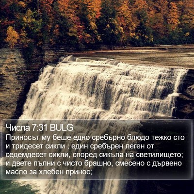 Числа 7:31 BULG Bible Verse Image