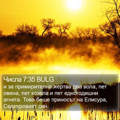 Числа 7:35 BULG Bible Verse Image