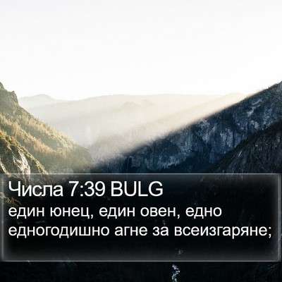 Числа 7:39 BULG Bible Verse Image