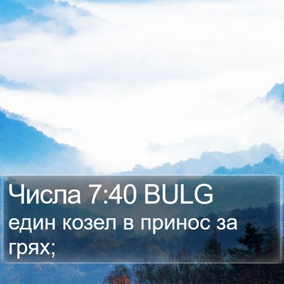 Числа 7:40 BULG Bible Verse Image