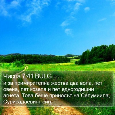 Числа 7:41 BULG Bible Verse Image