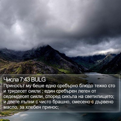 Числа 7:43 BULG Bible Verse Image