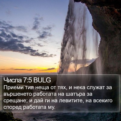 Числа 7:5 BULG Bible Verse Image