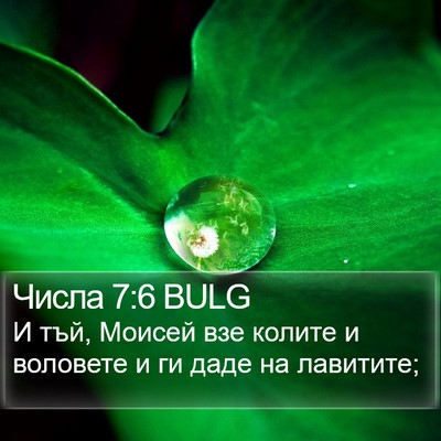 Числа 7:6 BULG Bible Verse Image