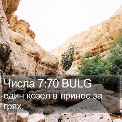Числа 7:70 BULG Bible Verse Image