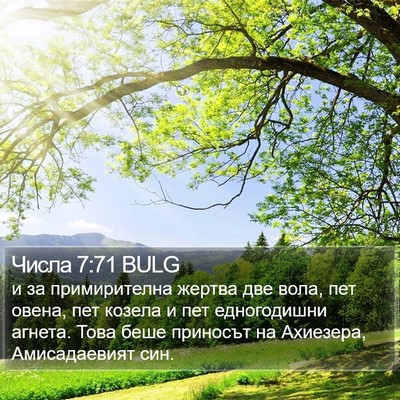 Числа 7:71 BULG Bible Verse Image