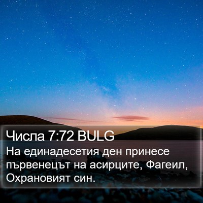Числа 7:72 BULG Bible Verse Image