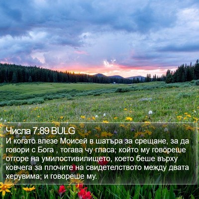 Числа 7:89 BULG Bible Verse Image