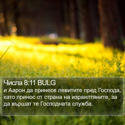 Числа 8:11 BULG Bible Verse Image