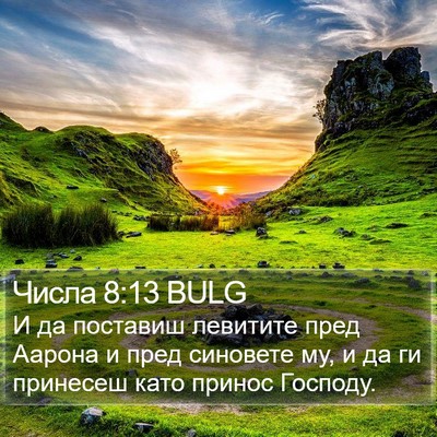 Числа 8:13 BULG Bible Verse Image