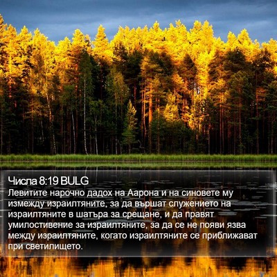 Числа 8:19 BULG Bible Verse Image