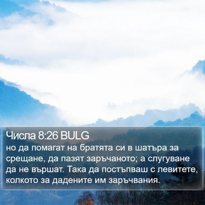 Числа 8:26 BULG Bible Verse Image