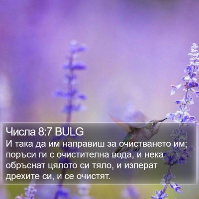 Числа 8:7 BULG Bible Verse Image