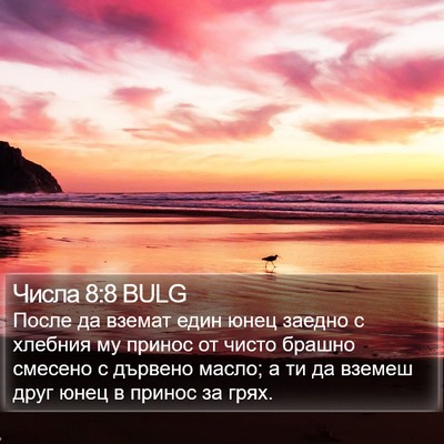 Числа 8:8 BULG Bible Verse Image