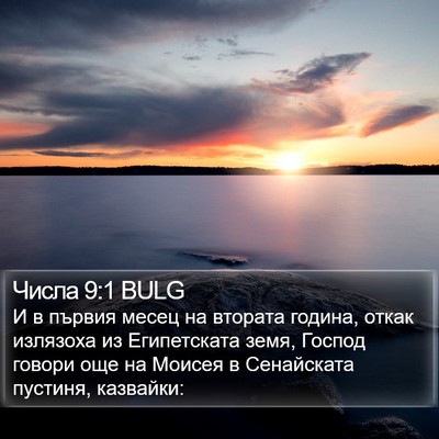 Числа 9:1 BULG Bible Verse Image