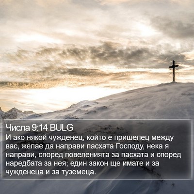 Числа 9:14 BULG Bible Verse Image