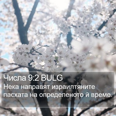 Числа 9:2 BULG Bible Verse Image