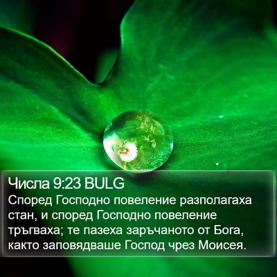 Числа 9:23 BULG Bible Verse Image