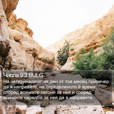 Числа 9:3 BULG Bible Verse Image