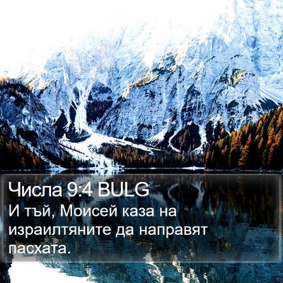 Числа 9:4 BULG Bible Verse Image