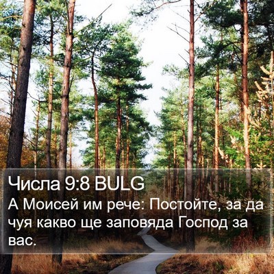 Числа 9:8 BULG Bible Verse Image
