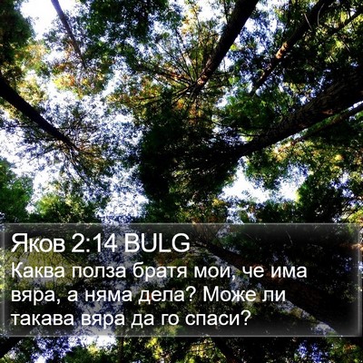Яков 2:14 BULG Bible Verse Image