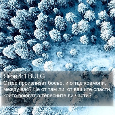 Яков 4:1 BULG Bible Verse Image