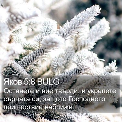 Яков 5:8 BULG Bible Verse Image