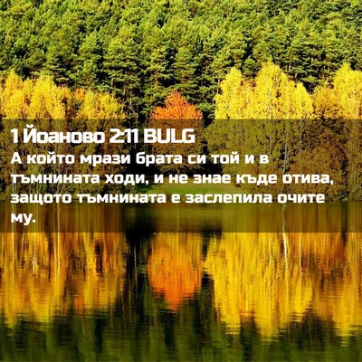 Picture 02 - 1 Йоаново 2:11 BULG - А който мрази брата си той - Bible Verse Picture