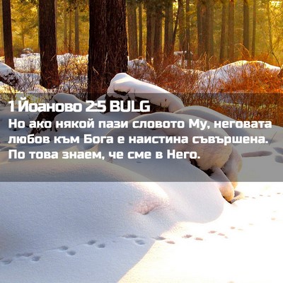 Picture 02 - 1 Йоаново 2:5 BULG - Но ако някой пази словото - Bible Verse Picture