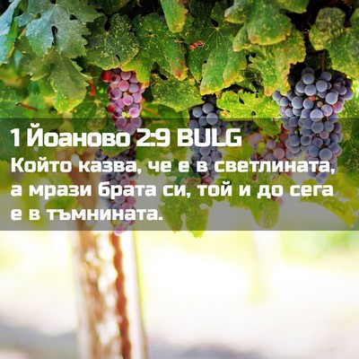 Picture 02 - 1 Йоаново 2:9 BULG - Който казва, че е в - Bible Verse Picture