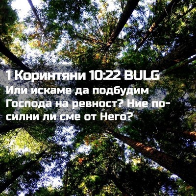 Picture 02 - 1 Коринтяни 10:22 BULG - Или искаме да подбудим - Bible Verse Picture