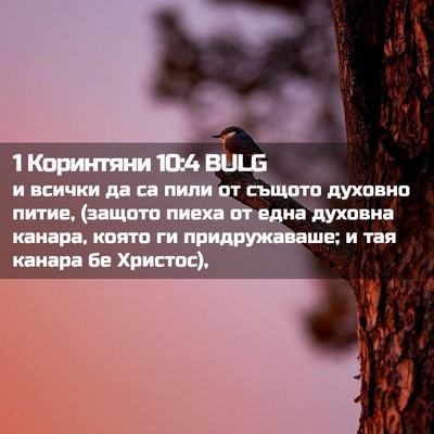 Picture 02 - 1 Коринтяни 10:4 BULG - и всички да са пили от - Bible Verse Picture