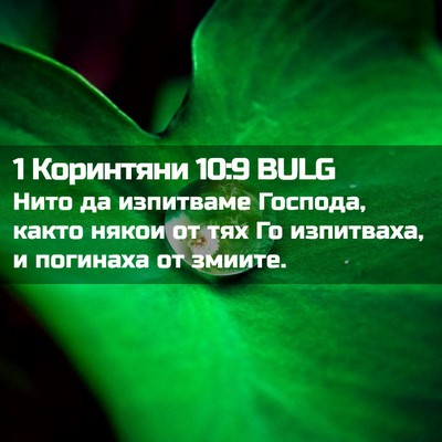 Picture 02 - 1 Коринтяни 10:9 BULG - Нито да изпитваме Господа, - Bible Verse Picture
