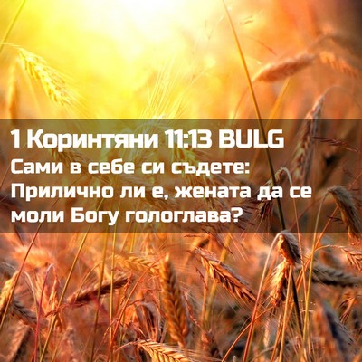 Picture 02 - 1 Коринтяни 11:13 BULG - Сами в себе си съдете: - Bible Verse Picture