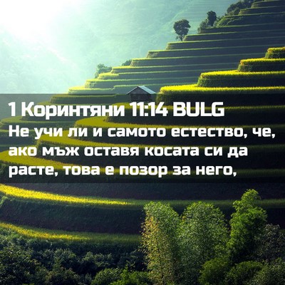 Picture 02 - 1 Коринтяни 11:14 BULG - Не учи ли и самото - Bible Verse Picture