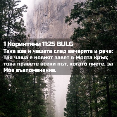 Picture 02 - 1 Коринтяни 11:25 BULG - Така взе и чашата след - Bible Verse Picture