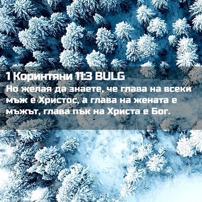 Picture 02 - 1 Коринтяни 11:3 BULG - Но желая да знаете, че - Bible Verse Picture