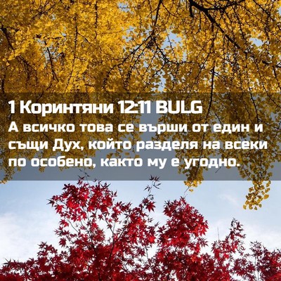 Picture 02 - 1 Коринтяни 12:11 BULG - А всичко това се върши от - Bible Verse Picture