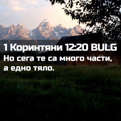 Picture 02 - 1 Коринтяни 12:20 BULG - Но сега те са много части, а - Bible Verse Picture