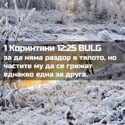 Picture 02 - 1 Коринтяни 12:25 BULG - за да няма раздор в тялото, - Bible Verse Picture