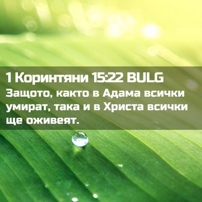 Picture 02 - 1 Коринтяни 15:22 BULG - Защото, както в Адама - Bible Verse Picture