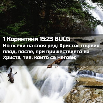 Picture 02 - 1 Коринтяни 15:23 BULG - Но всеки на своя ред: - Bible Verse Picture