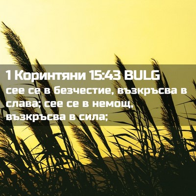 Picture 02 - 1 Коринтяни 15:43 BULG - сее се в безчестие, - Bible Verse Picture